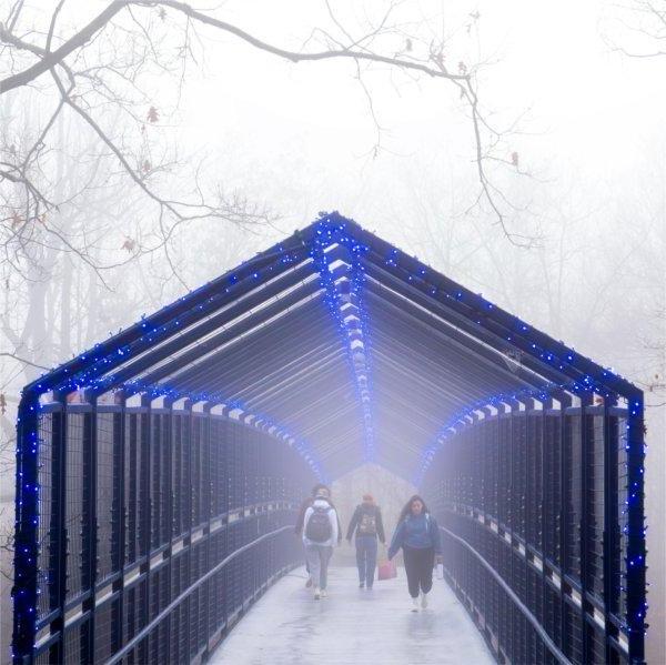 College students walk across a blue bridge in the fog.